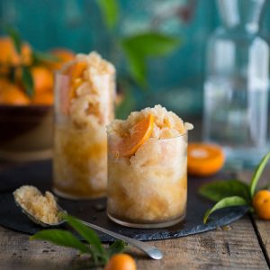 honey and rooibos granita gin and tonic