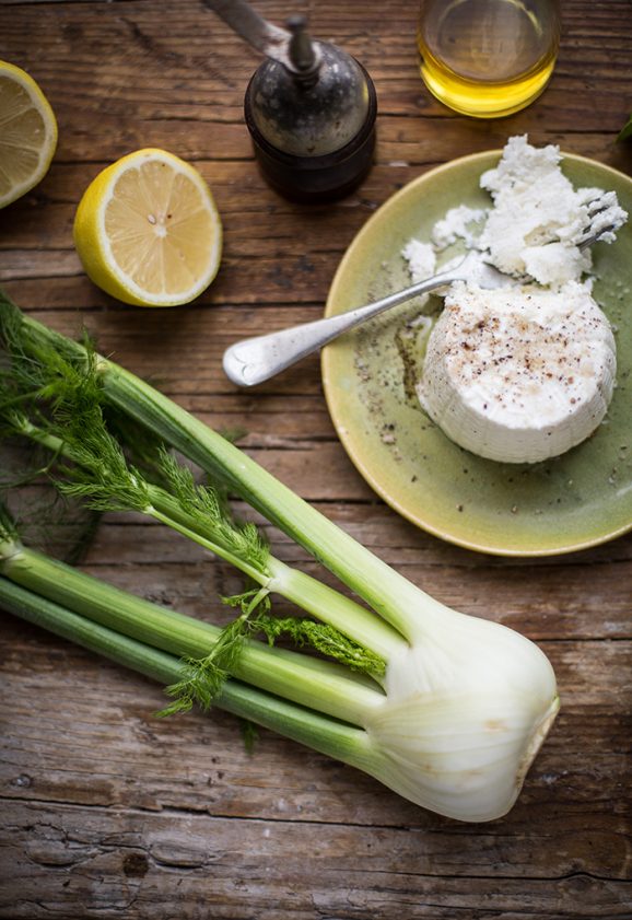 fennel, radish & mint salad with lemon & ricotta