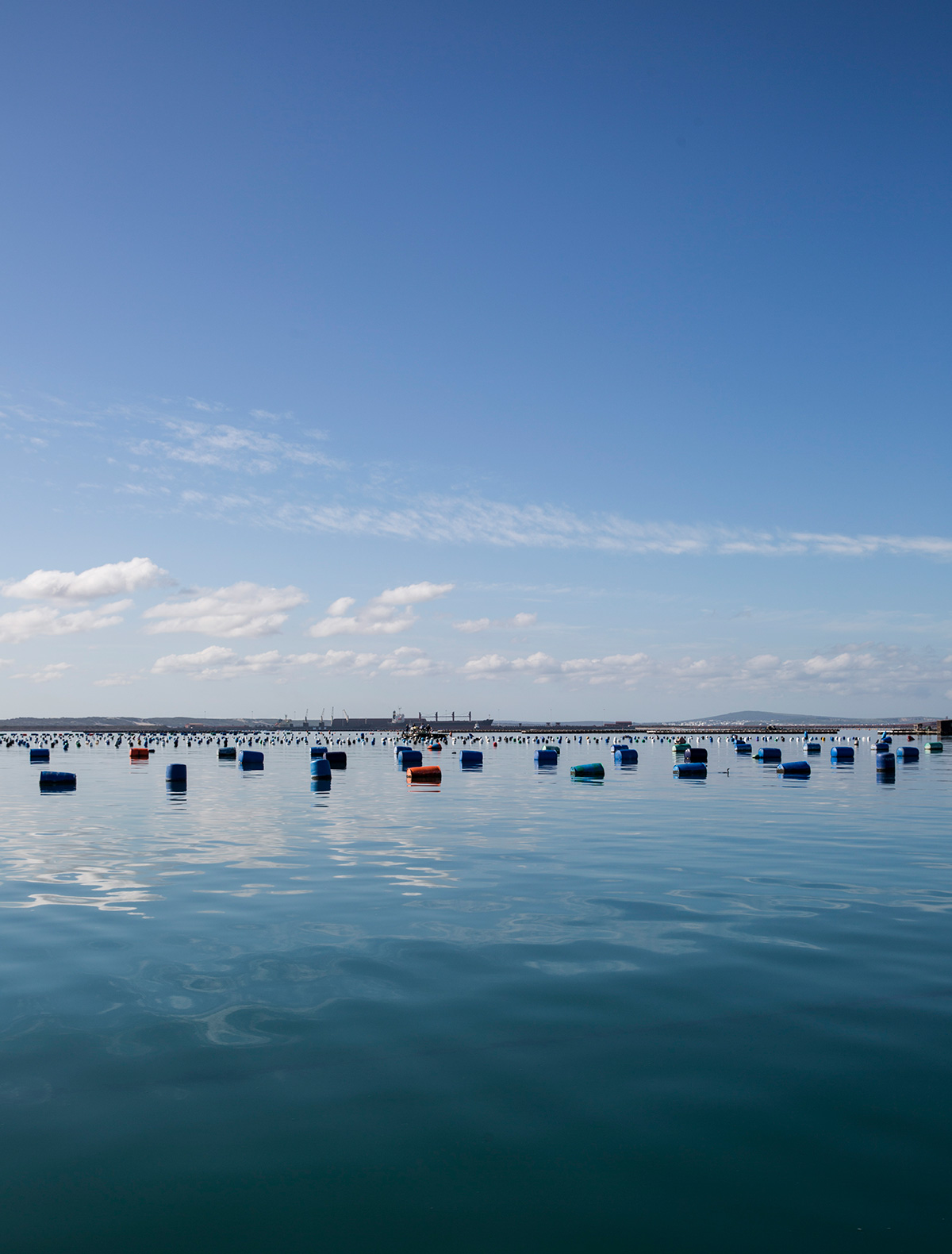 The Saldanha Experience