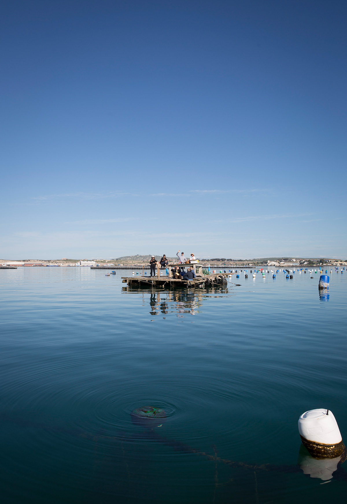 The Saldanha Experience