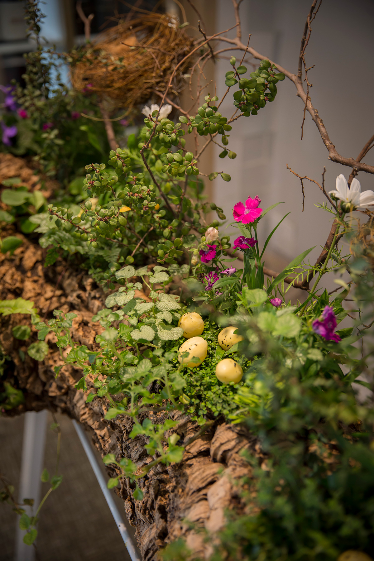 La Colombe Spring Menu 2019 • Drizzle and Dip La Colombe Spring Menu 2019