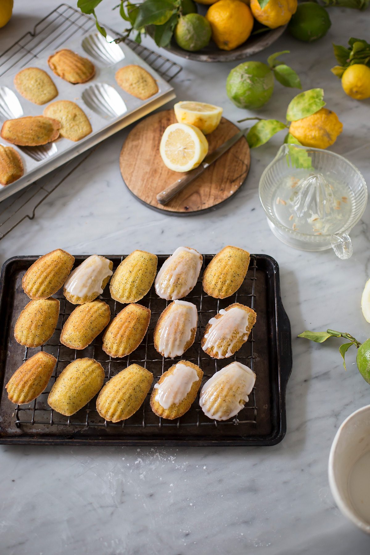 Lemon & poppy seed madeleines with a lemon glaze recipe • Drizzle and Dip Lemon & poppy seed madeleines with a lemon glaze recipe