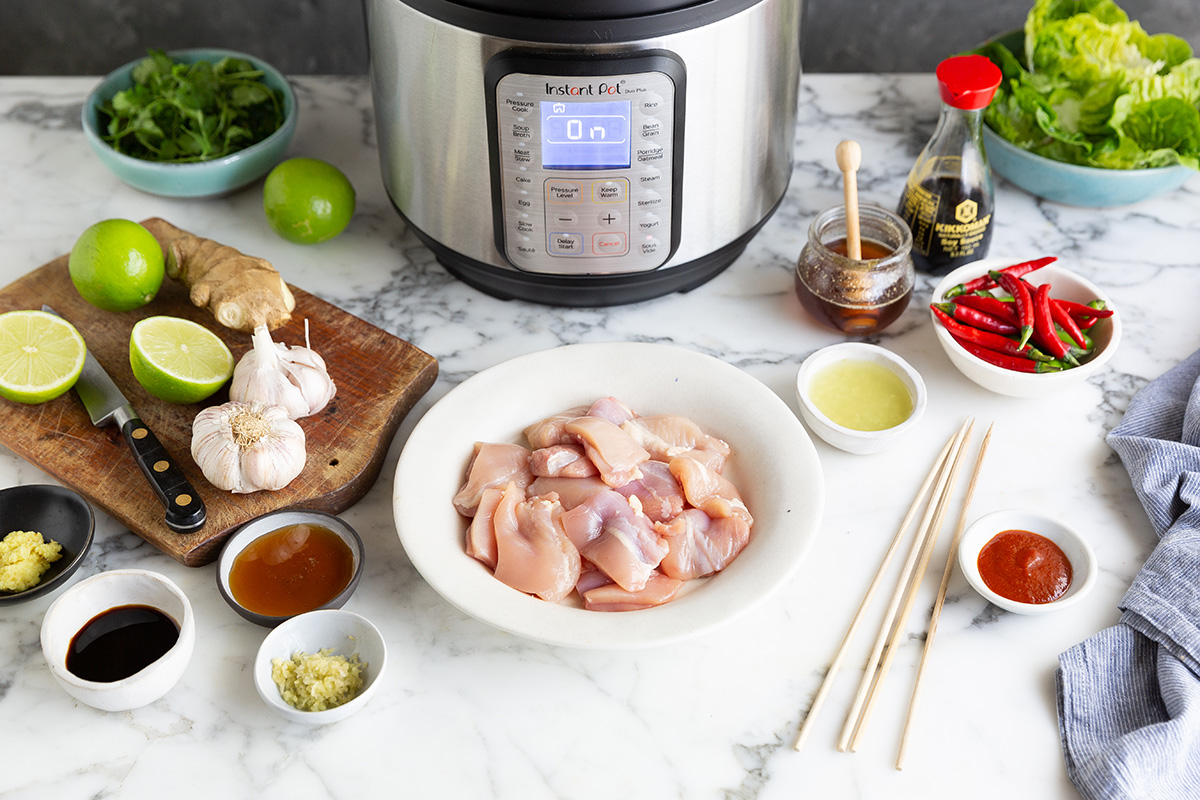 How to Sous Vide chicken kebabs in the Instant Pot with a soy, ginger, honey & lime recipe