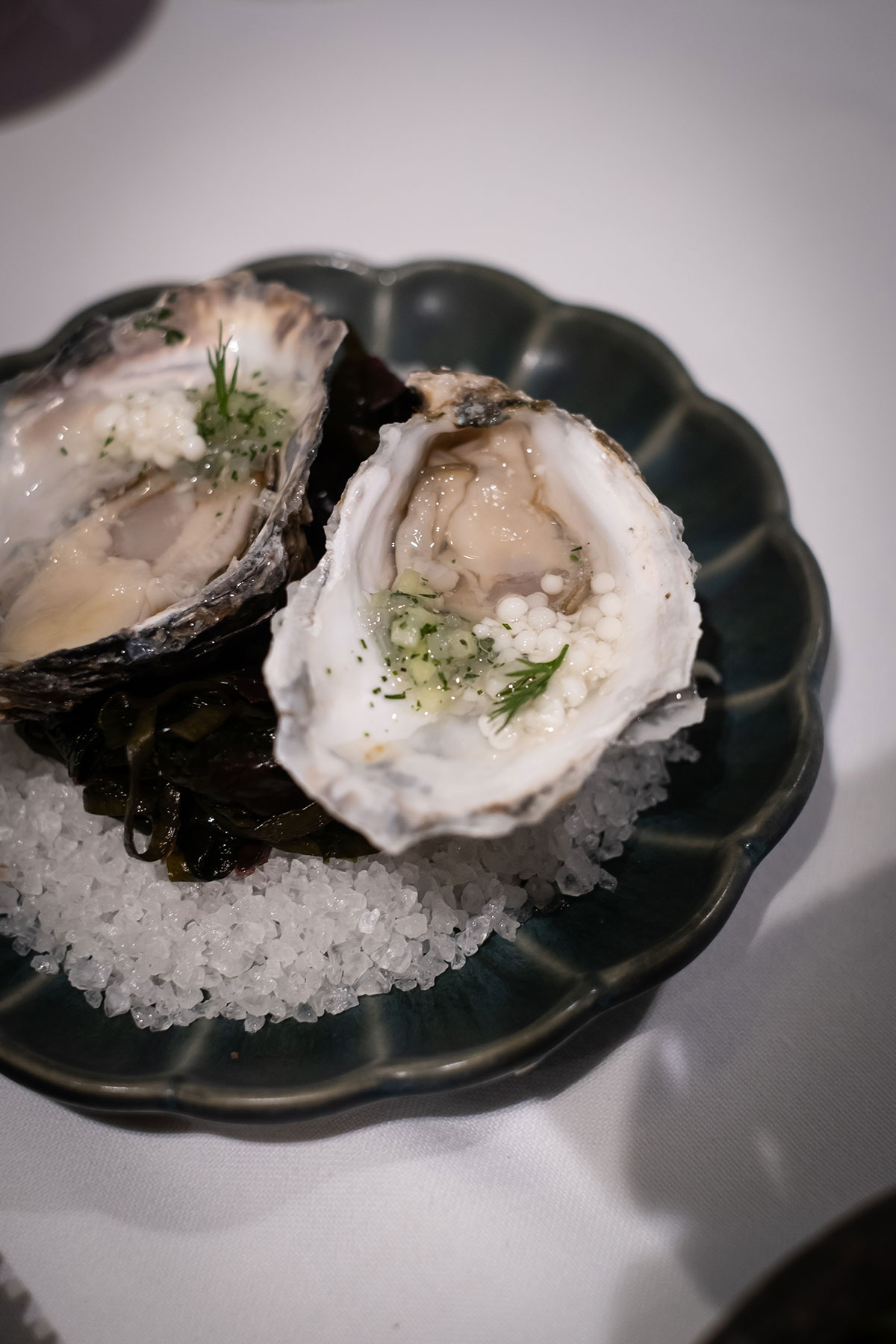 Oysters at Salon Restaurant