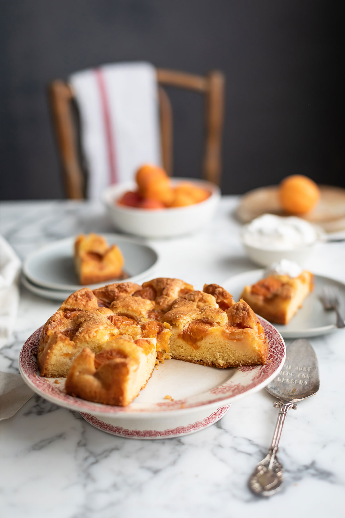 The perfect easy apricot torte on a plate