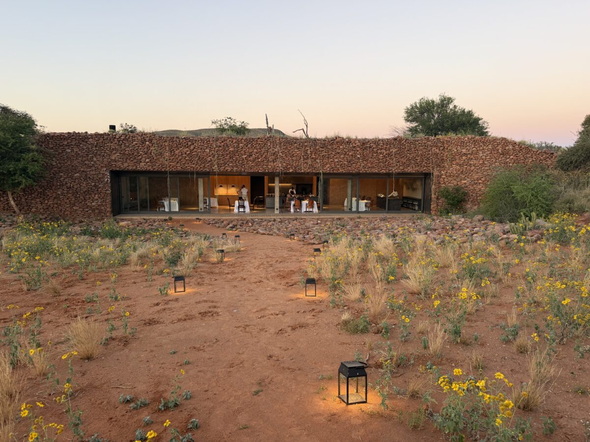 Boscia view in • Drizzle and Dip Boscia, Tswalu